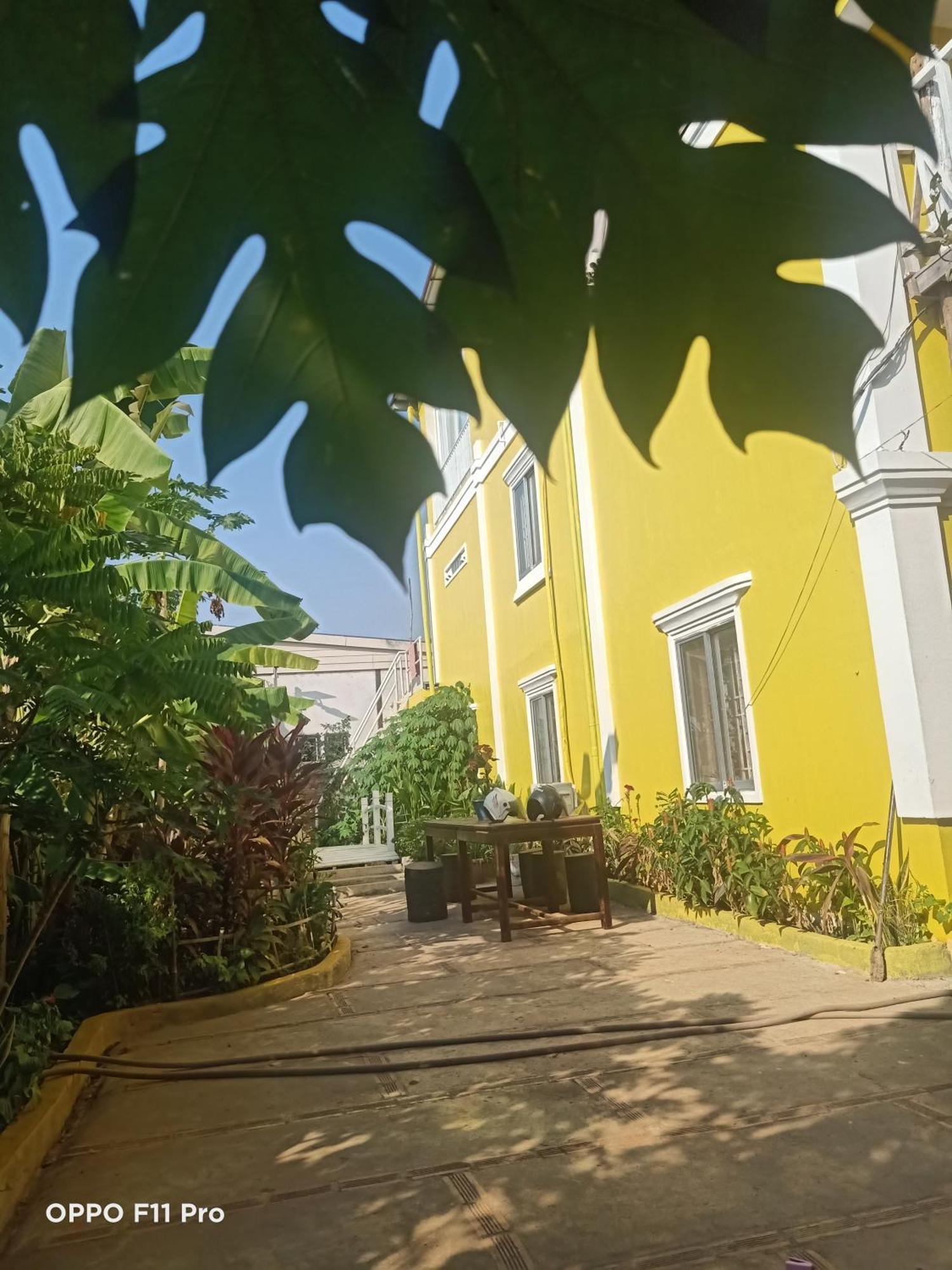 Homestay Yellow Natural House Сиемрип Экстерьер фото
